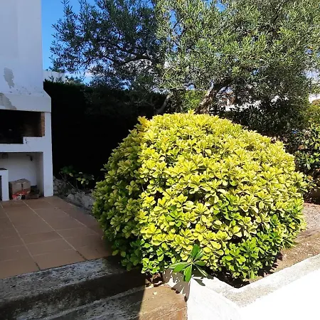Tranquilo Con Terraza Y Jardin Cerca De La Playa - Es-170-47